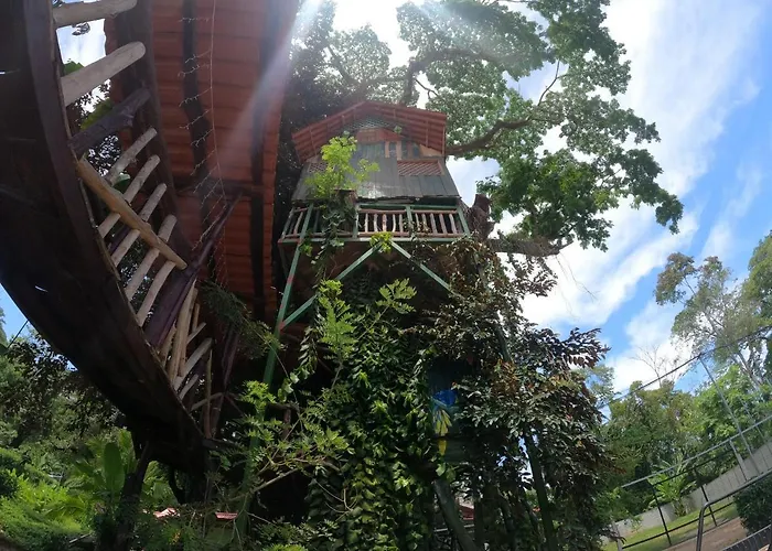 Tree House Samanea Lodge Puerto Limon