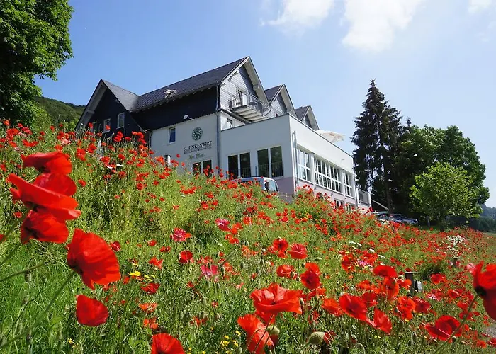 Waldhotel Schinkenwirt Olsberg