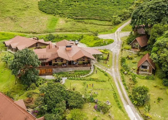 Tree Trek Boquete Adventure Park Hotel
