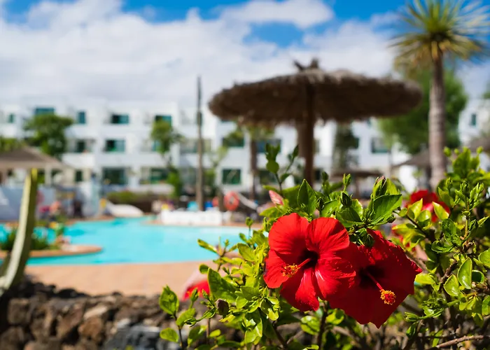 Galeon Playa By Seasense Costa Teguise