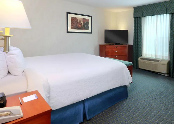 Hampton By Hilton Reynosa Zona Industrial Hotel