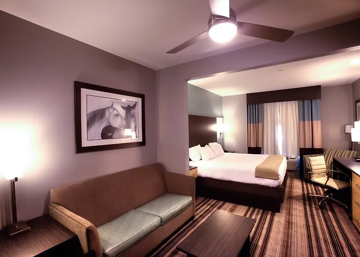Holiday Inn Express & Suites Amarillo West By Ihg