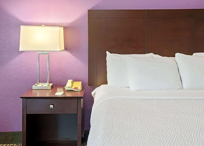 La Quinta By Wyndham Houston - Magnolia Hotel
