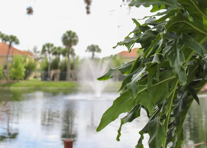 Hilton Vacation Club Polynesian Isles Kissimmee Hotel