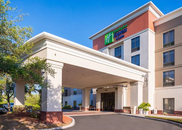 Holiday Inn Express Hotel & Suites Tampa-Anderson Road-Veterans Exp By Ihg West Chase