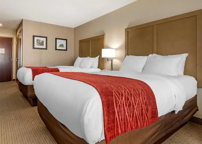 Comfort Inn & Suites Farmington - Victor