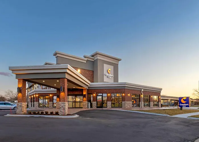 Comfort Inn Detroit - Troy Clawson