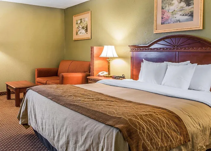 Quality Inn & Suites Ann Arbor Hwy 23