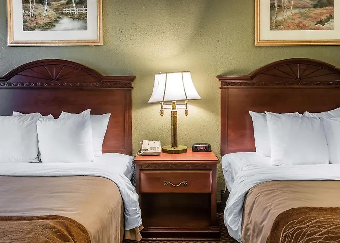 Quality Inn & Suites Ann Arbor Hwy 23