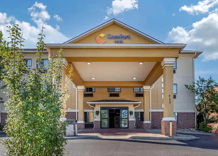 Comfort Inn Downtown - University Area Kalamazoo