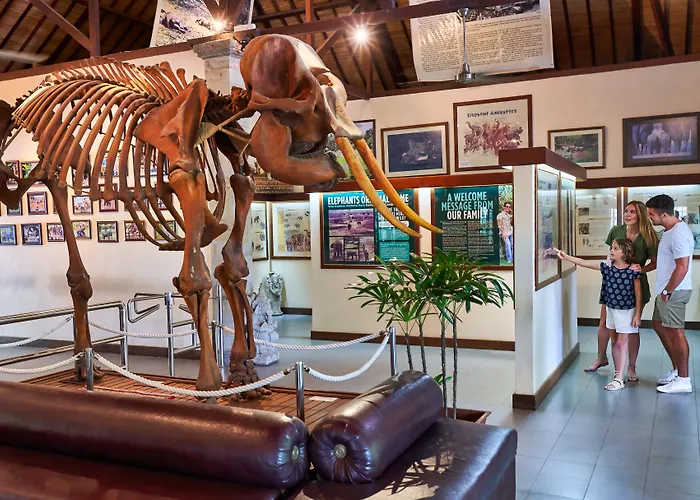 Mason Elephant Lodge Ubud