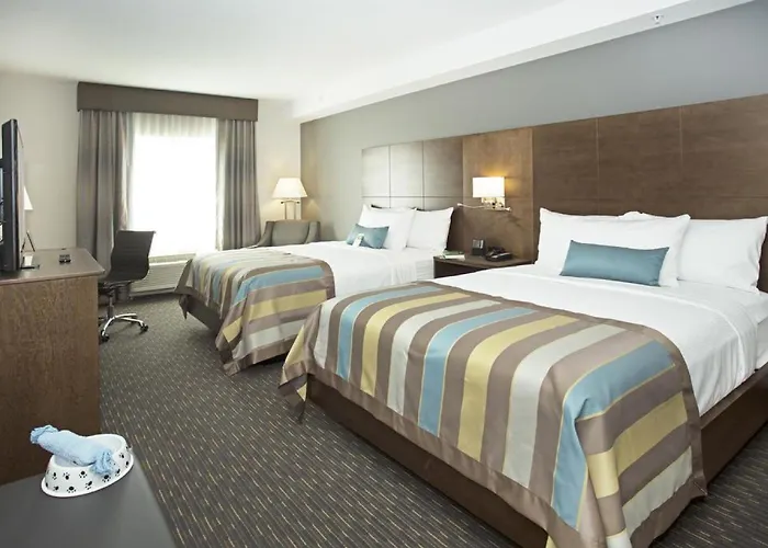 Hotel Wingate By Wyndham Calgary Airport