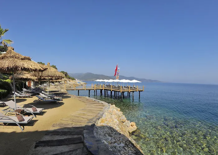 Sarpedor Boutique Hotel Torba