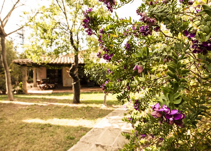 Aumallia Hotel & Spa Fenalitx 