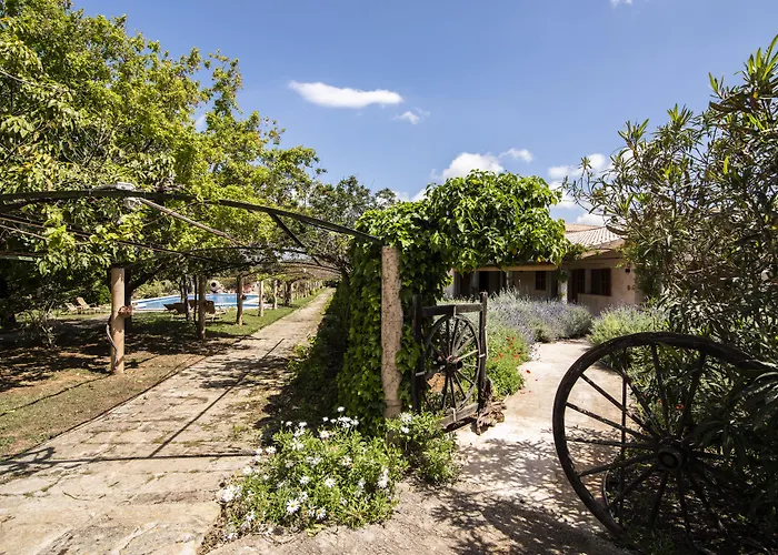 Aumallia Hotel & Spa Fenalitx 