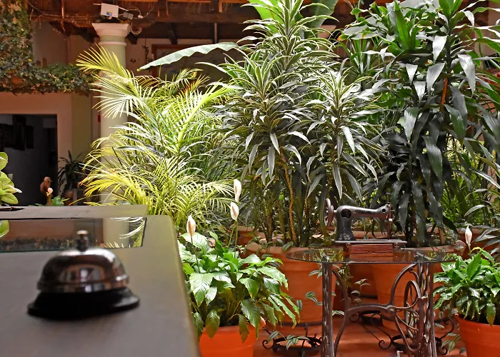 Hotel San Luis San Cristobal de las Casas