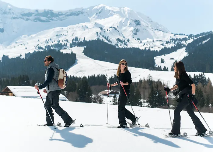Hotel L'Arboisie Megeve