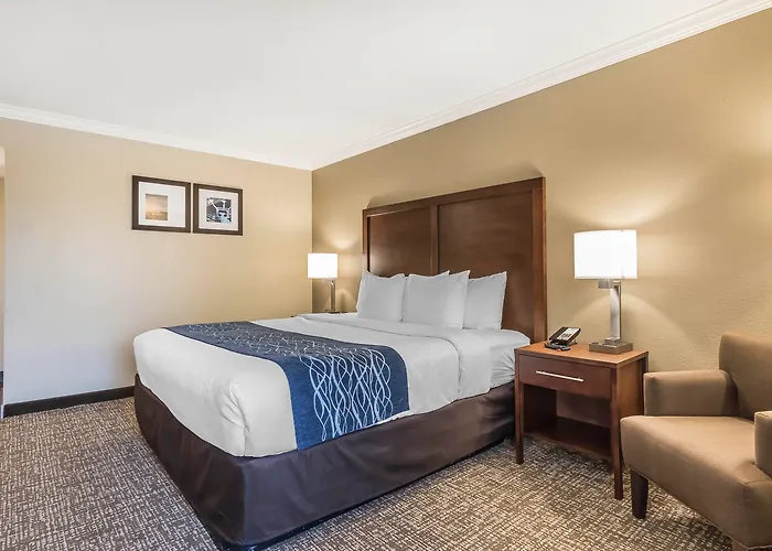 Comfort Inn Sunnyvale - Silicon Valley