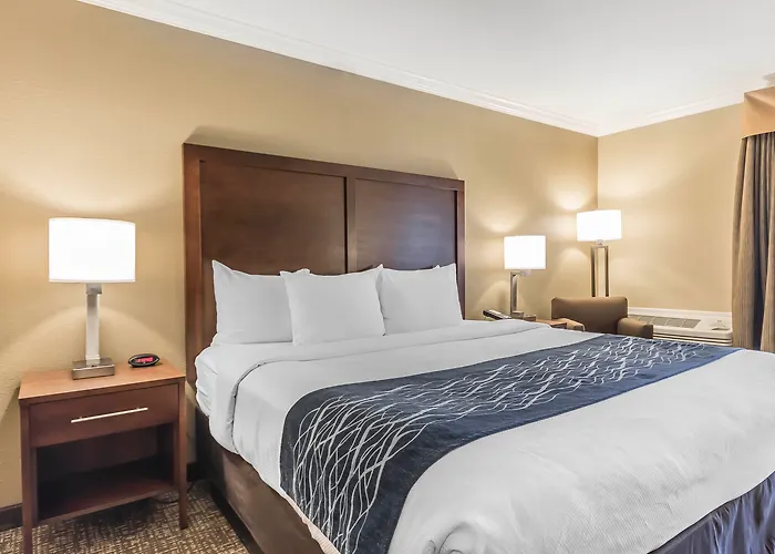 Comfort Inn Sunnyvale - Silicon Valley