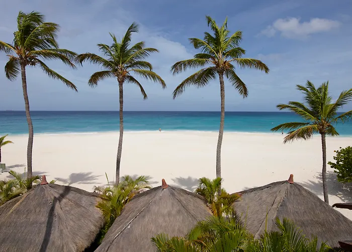 Manchebo Beach Resort&Spa Palm Beach