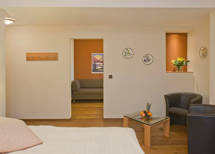 Hotel Ambassador Brig
