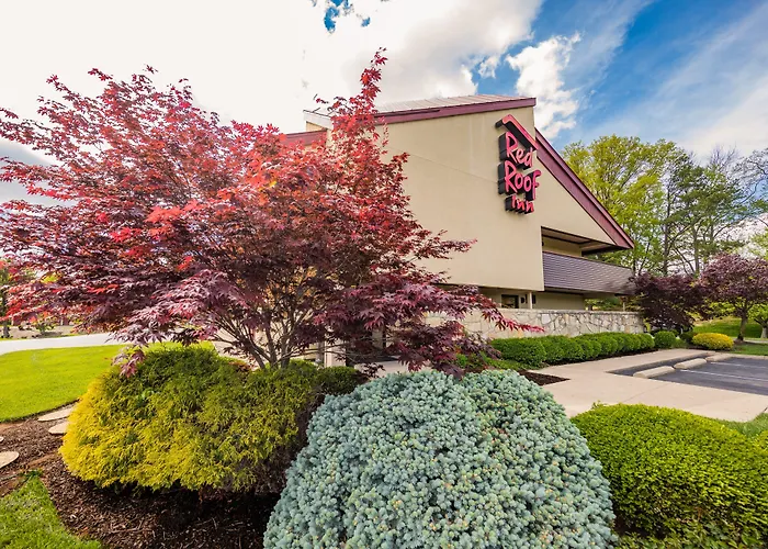 Red Roof Inn Cincinnati Northeast - Blue Ash