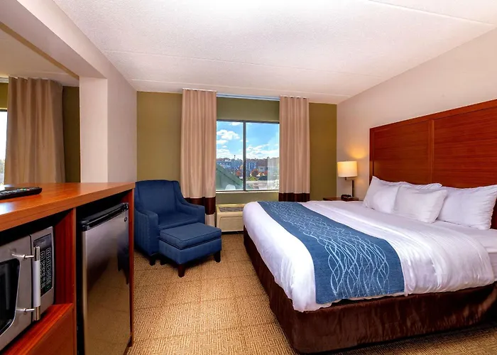 Comfort Inn Near Quantico Main Gate North Dumfries