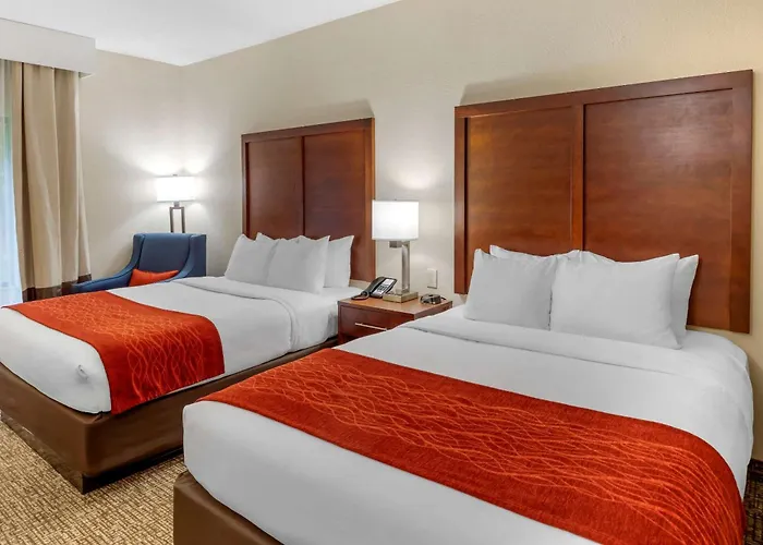 Comfort Inn & Suites Canton Riverstone Area