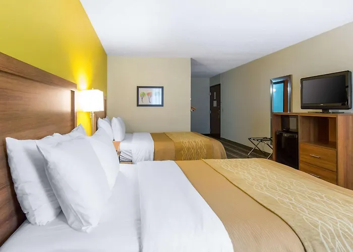 Quality Inn Stephens City-Winchester South