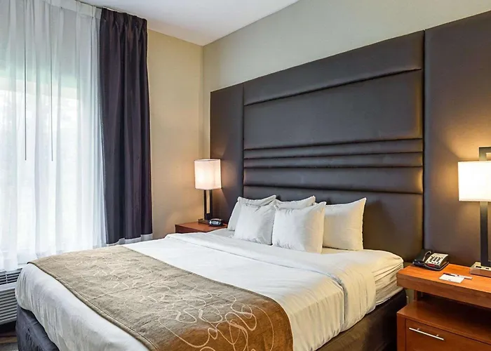 Comfort Suites Near Tanger Outlet Mall Gonzales