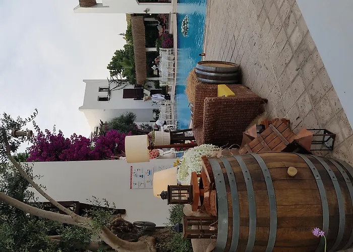 Ece "Vegan"Hotel Bodrum Golturkbuku
