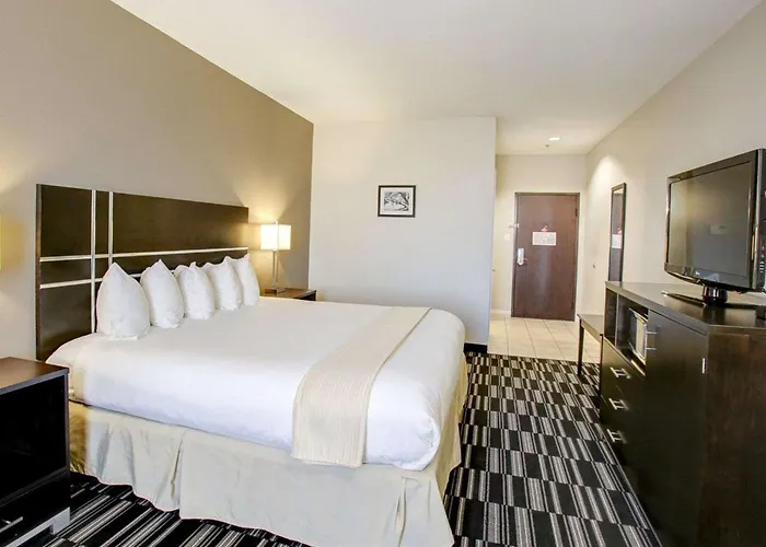Quality Inn & Suites Bryan-College Station