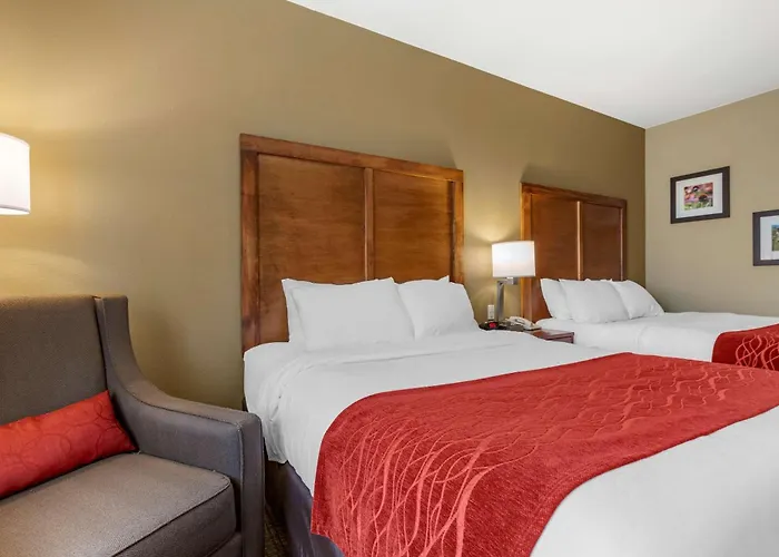 Comfort Inn & Suites Near Mt Rushmore Hill City