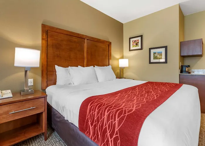 Comfort Inn & Suites Near Mt Rushmore Hill City