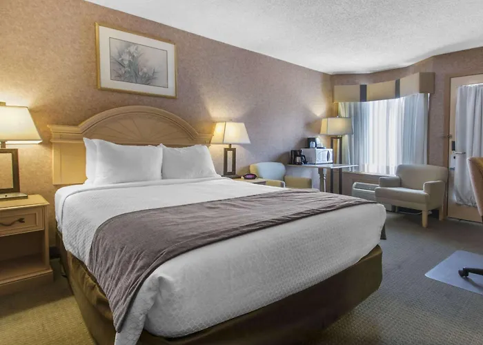 Flamingo Hotel Medicine Hat