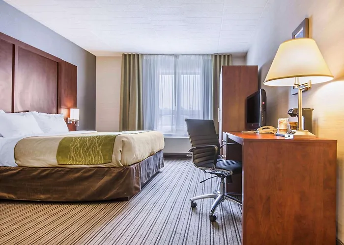 Comfort Inn & Suites Collingwood