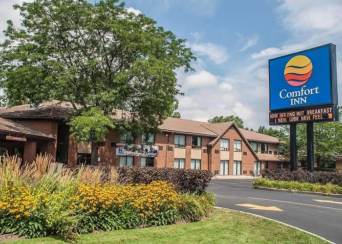 Comfort Inn Simcoe