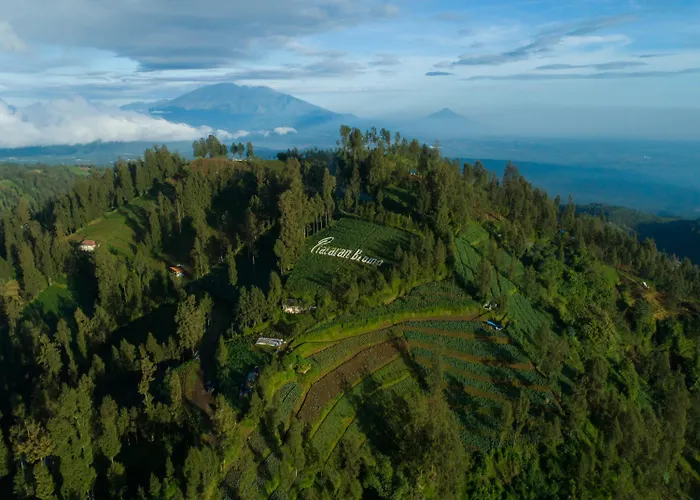 Plataran Bromo Hotel