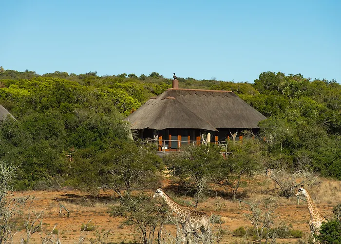 Pumba Private Game Reserve Port Elizabeth