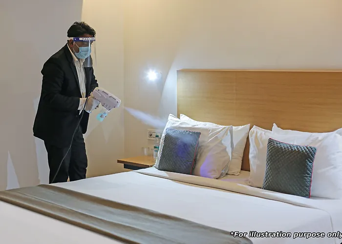 Fabhotel Prime The Royal Galaxy Udaipur