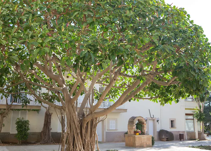 Hotel Castell Dels Hams Porto Cristo