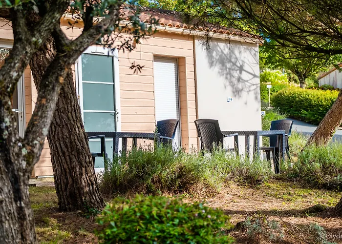 Hotel Adonis Les Epesses By Olydea