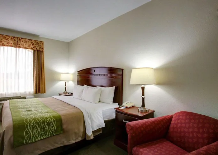 Quality Inn Rockdale