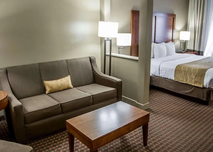 Comfort Inn & Suites Riverview Near Davenport And I-80 Le Claire