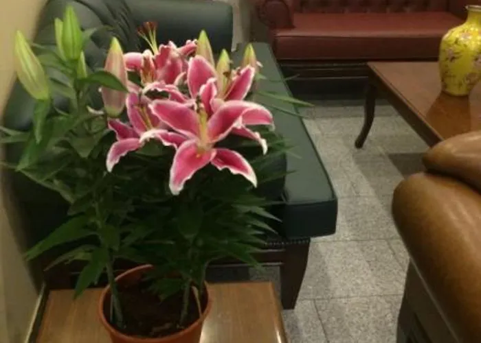 Uenver Hotel Adana