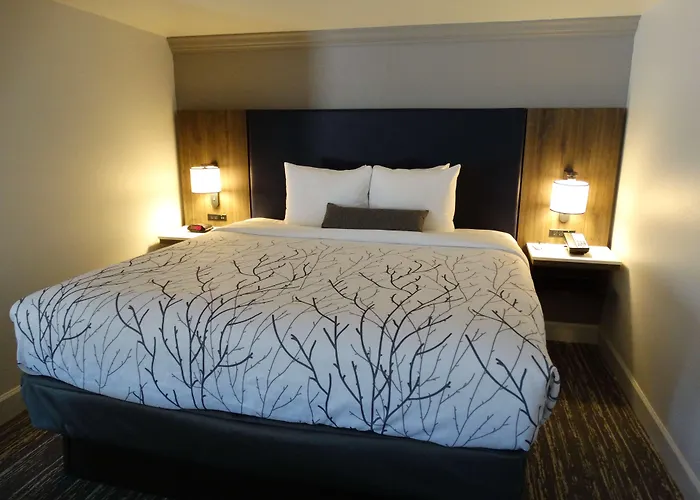 Best Western Premier Denver East