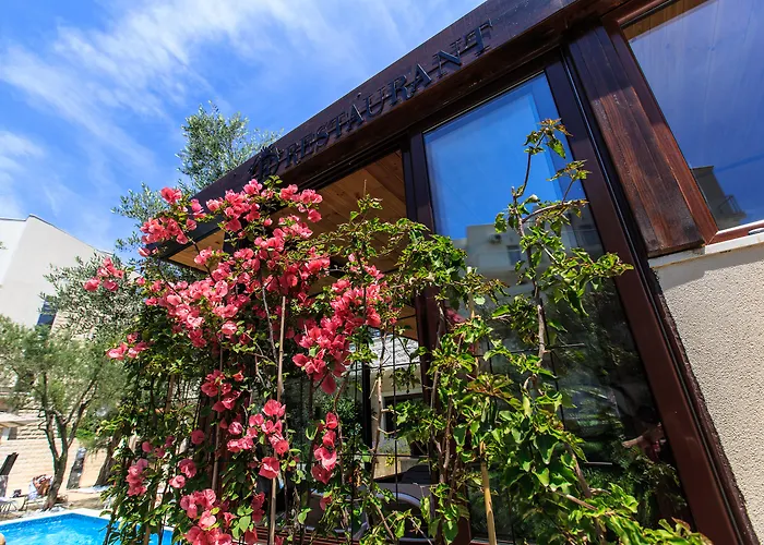 Hotel Harmony By Aycon Petrovac