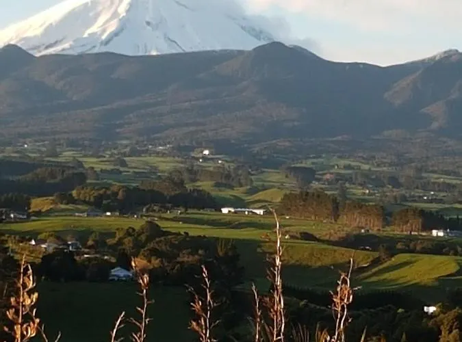 House On The Hill Bed & Breakfast New Plymouth