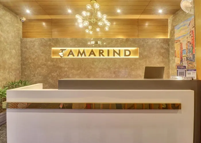 Treebo Tryst Tamarind Hotel Chandigarh