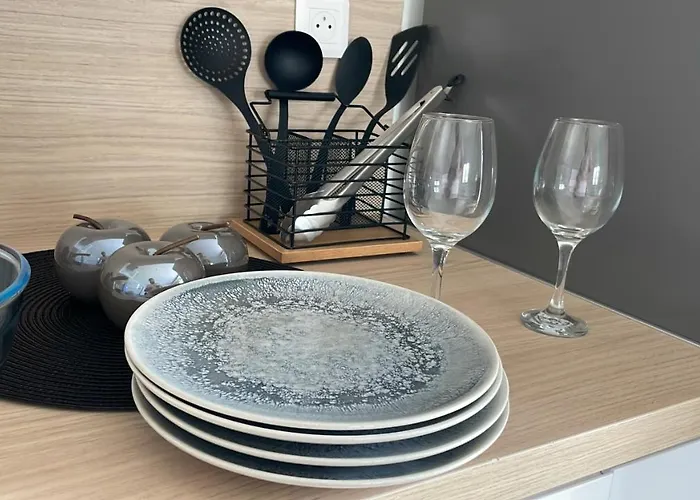 Aparthotel Studio 23 m2+wifi +parking privé à Oullins